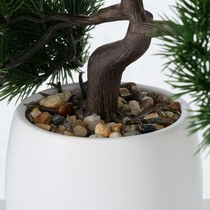Boltze Drzewko bonsai w doniczce Lian wzór 1 5