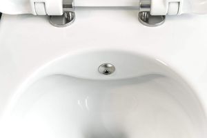 Miska WC Deante Deante Peonia Zero Miska WC z funkcją bidetu ze zintegrowaną baterią mieszaczową 3