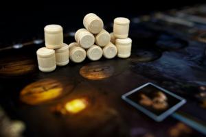 Phalanx Gra planszowa Brass: Birmingham 8