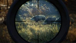 The Hunter Call Of The Wild 2019 Edition PS4 2