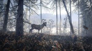 The Hunter Call Of The Wild 2019 Edition PS4 3