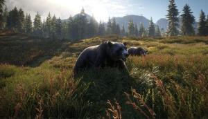 The Hunter Call Of The Wild 2019 Edition PS4 5
