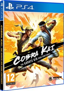Cobra Kai The Karate Kid Saga PS4 1