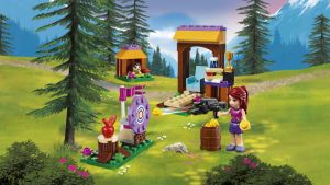 LEGO Friends Letni Obóz łuczniczy (41120) 2