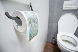 GM Papier toaletowy 100 zł XL 2