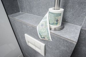 GM Papier toaletowy 100 zł XL 3