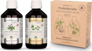 Living Food Living Food, Probiotyczny ekstrakt roślinny, Zioła Jędrzeja ProbioBorelio, 600 ml 1