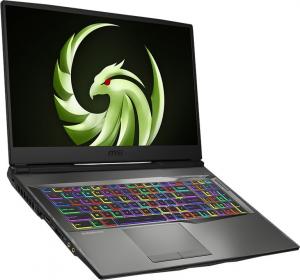 Laptop MSI Alpha 17 (A4DEK-029PL) 1