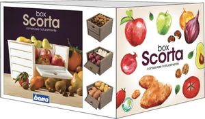 Rotho Pojemnik skrzynka na warzywa cebulę ziemniaki owoce 6