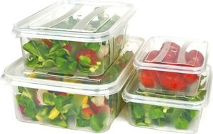 Centurion Pojemniki na żywność Master Food 4szt 2