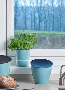 Rotho Doniczka na zioła podwójna samonawadniająca MEPAL 11