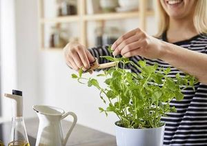 Rotho Doniczka na zioła podwójna samonawadniająca MEPAL 8