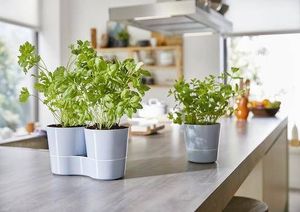 Rotho Doniczka na zioła podwójna samonawadniająca MEPAL 10