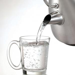 Czajnik Morphy Richards New Accents Srebrny 2