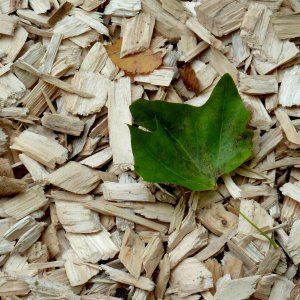 Zipper Rębak, Rozdrabniacz Do Gałęzi Zi-Haek4100 (Zi-Haek4100) 29