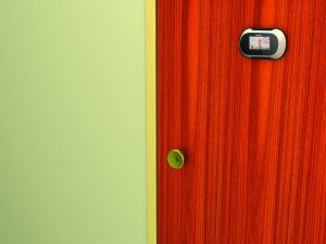 Brinno Elektroniczny wizjer do drzwi (PHV132512) 5