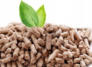 Ferroli BIOPELLET PRO18 KOC PELET, PŁASZCZ WOD 10