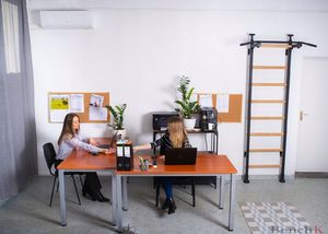 BenchK Drabinka gimnastyczna rozporowa BENCHK 511 2