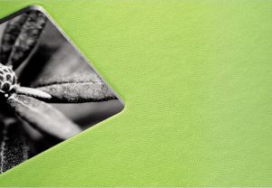 Hama Fine Art Spiral kiwi 24x17 50 white Pages (2114) 4