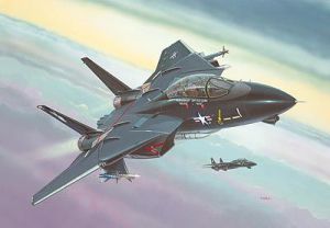Revell F14A "Black Tomcat" (04029) 1