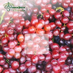 Macrovita OLIVE-ELIA maska-krem intensywnie nawilżająca wszystkie rodzaje cery 50ml 2
