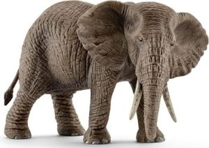 Figurka Schleich Samica słonia afrykańskiego 1