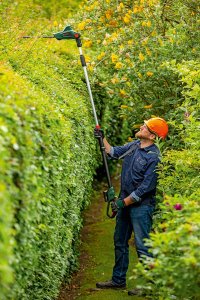 Bosch Nożyce akumulatorowe Universal HedgePole 18 Solo 43 cm (06008B3001) 3