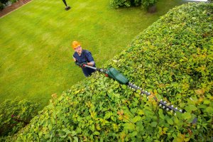 Bosch Nożyce akumulatorowe Universal HedgePole 18 Solo 43 cm (06008B3001) 7