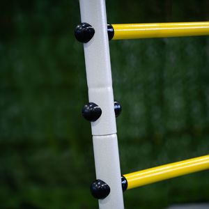 Małpiszon Plac zabaw do ogrodu Fitness 6