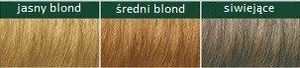 Logona Roślinna Farba Do Włosów W Proszku 010 Goldblond (Złocisty Blond) 2