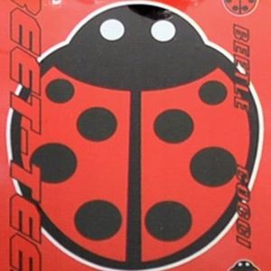 Deskorolka KIAMO DESKOROLKA MAŁA 43CM DLA DZIECI 9 WARSTWOWA DESKA 8