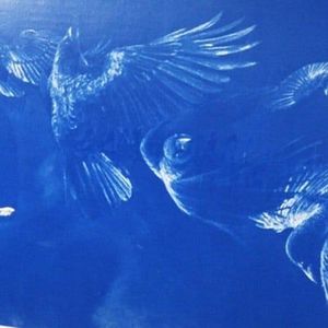 Deskorolka KIAMO DESKOROLKA LONGBOARD PINTAILBOARD KLON ABEC PU 85A 2