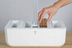 Veritable Nasiona Bio kolendra, Véritable 3