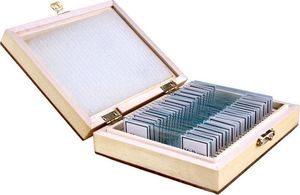 Mikroskop Opticon Preparaty biologiczne - BOTANIKA 7