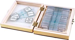 Mikroskop Opticon Preparaty biologiczne - BOTANIKA 8