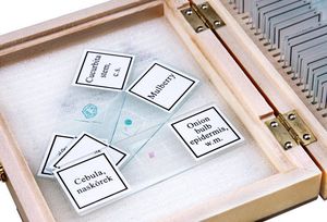 Mikroskop Opticon Preparaty biologiczne - BOTANIKA 9