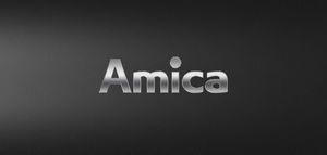 Lodówka Amica FY5119.3DFBX 19