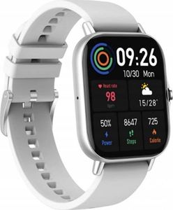 Smartwatch Bakeeley DT94 Szary 2