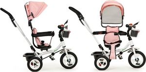 Ecotoys Rower trójkołowy obracany daszek pompowane koła 7