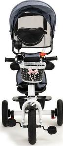 Ecotoys Rowerek Trójkołowy Obracany Szary 5