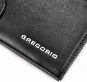 Gregorio Gregorio CCH-06 Nie dotyczy 2