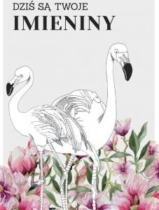 PASSION CARDS Karnet Imieniny - flamingi, PP-2201 1