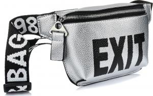 Krateczka nerka saszetka HIT torba na pas przez ramię srebrna exit X76 1