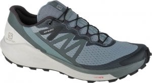 Salomon Salomon Sense Ride 4 412997 Niebieskie 42 2/3 1