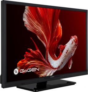 Telewizor GoGEN TVH24P452T LED 24'' HD Ready 2