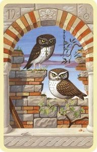 Cartamundi Karty Tarot Lenormand Mystical GB 4