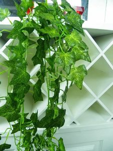 AD Accessories 12x Sztuczny Bluszcz na Ścianę Balkon Roślina 25M 5