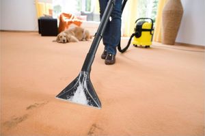Odkurzacz piorący Karcher SE 4001 Plus (1.081-133.0) 8