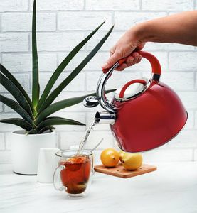 Tadar Czajnik ze stali nierdzewnej Tadar Colorado 2,5 l 2