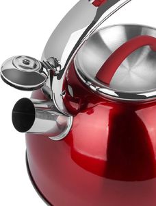 Tadar Czajnik ze stali nierdzewnej Tadar Colorado 2,5 l 4